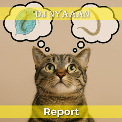 Report