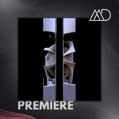PREMIERE: Batikan Tanrikulu, Fidac - Over Control (Original Mix) [Theory X]