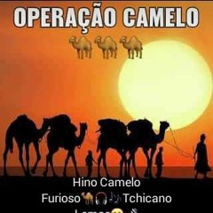 Tchicano Lemos_Camelo Furrioso_Afro House(Proby Sony Vibers.mp3