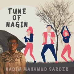 Tune Of Nagin