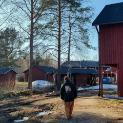 Pari Siltaa (Prod. Elegil)