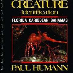 Get PDF Reef Creature Identification: Florida Caribbean Bahamas by Paul and Ned Deloach Human