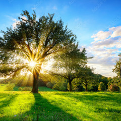 ur sitll in my walls.... its sok...... produced by ash58