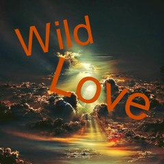 Wild Love HD