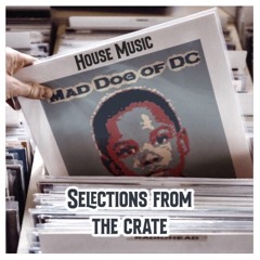 SELECTIONS FROM THE CRATE - House Music Mix!