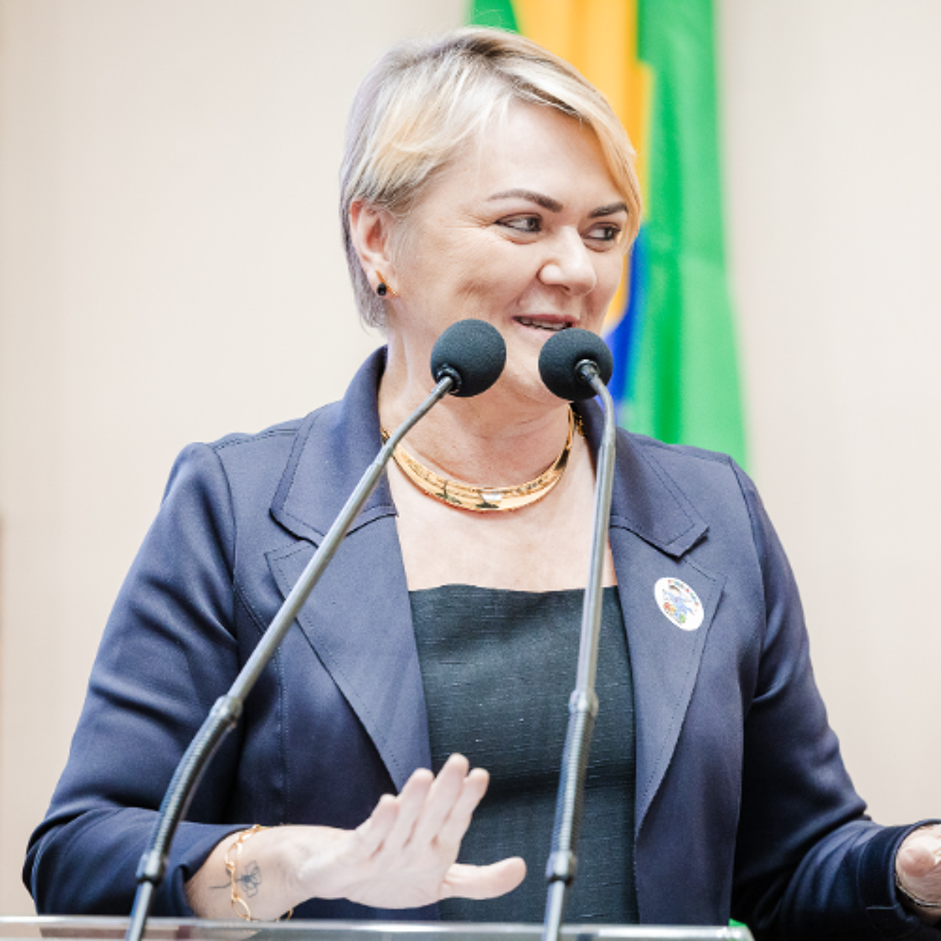 Deputada Luciane Carminatti cria emenda para proibir importação de derivados de leite em pó para socorrer produtores catarinenses episode artwork