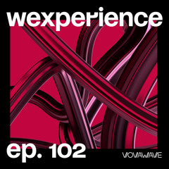 WExperience #102