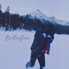 Butterflies (Prod. SwitchBeatz)