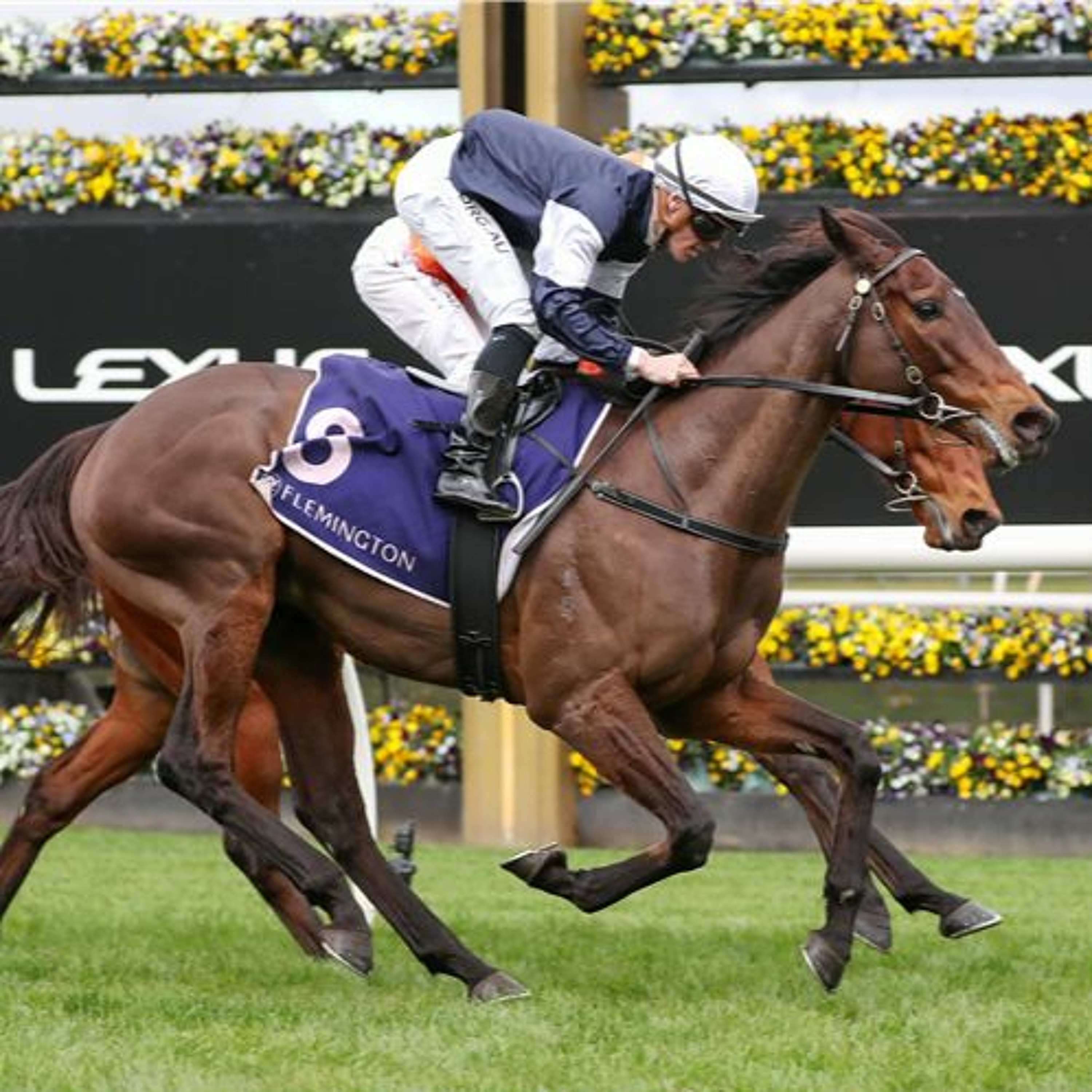 Feehan Stakes Day Punting Preview