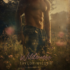 Wilderness (americana nostalgia version)