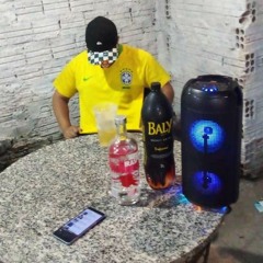 POR VC EU BEBO O MAR DE CANUDINHO vs FUNK TIKTOK RJ [ DJ STALLONY SANTOS ]