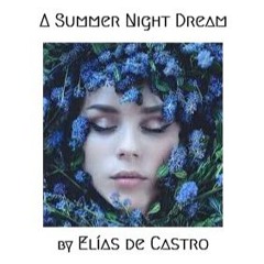 A Summer Night Dream
