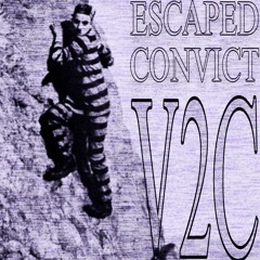 ESCAPED CONVICT
