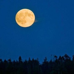 Live at Asheville Full Moon Gathering 2025 08.08.2025