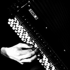 'Olvidar' for accordion and strings