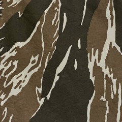 Camosoup (feat. GREENSMOKE) (prod. Diito, Smokey)