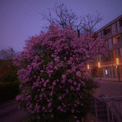 flowers in the park [prod. VILEM]