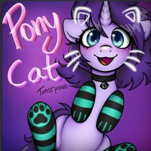 A MLP SONG- PONY CAT, by ToastPone