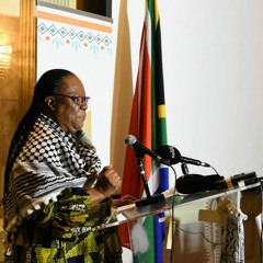 Remakrs By DIRCO Minister Dr Pandor At The Palestinian African HOM Conference 26 July 2022