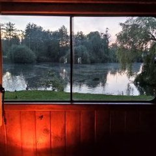 SPONSH - Horizon Switch