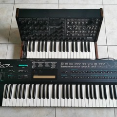 24-11-20 Daily Loops