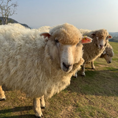 The Lord's Prayer - Cover ft Terence