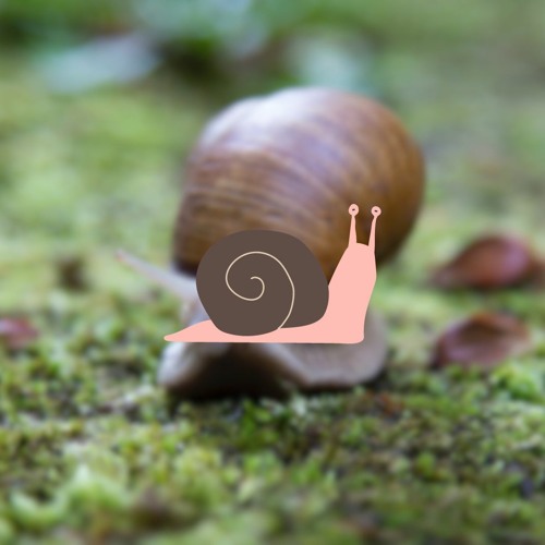 slugcore