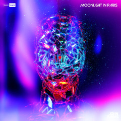 Moonlight in Paris (John Raays Remix)