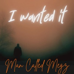 I Wanted It - Early Demo