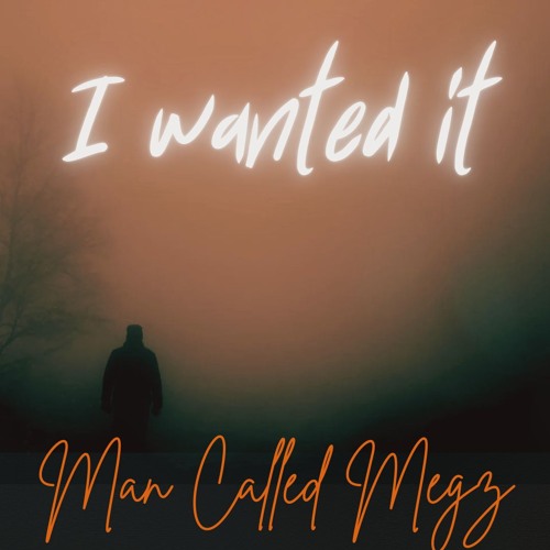 I Wanted It - Early Demo