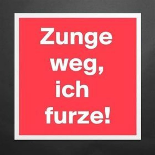 BasZJunkY Vs. Brandit LiV3 - Wenn Die Schweine wieder Auf K(r)eta Sind (158bpm)