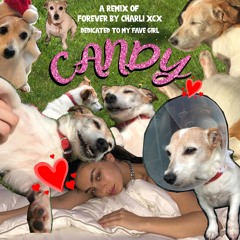 charli xcx - forever remix 4 candy