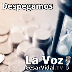 Despegamos: Crisis financiera en julio, bloqueo comercial global y el dólar devora al euro