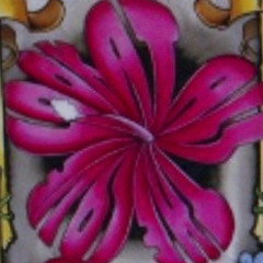 Distorted (Not Important)