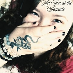 Met You at the Wayside