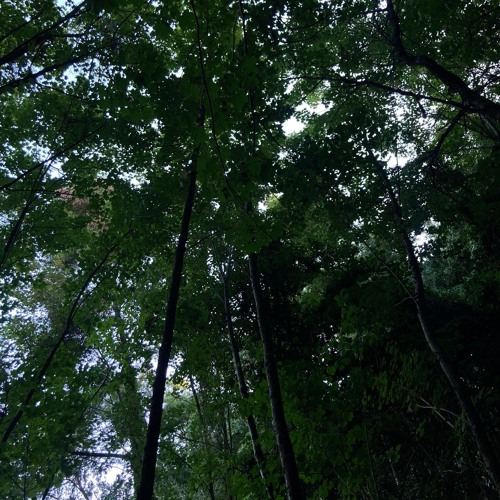 mixbreakup2024añokuliao.wav