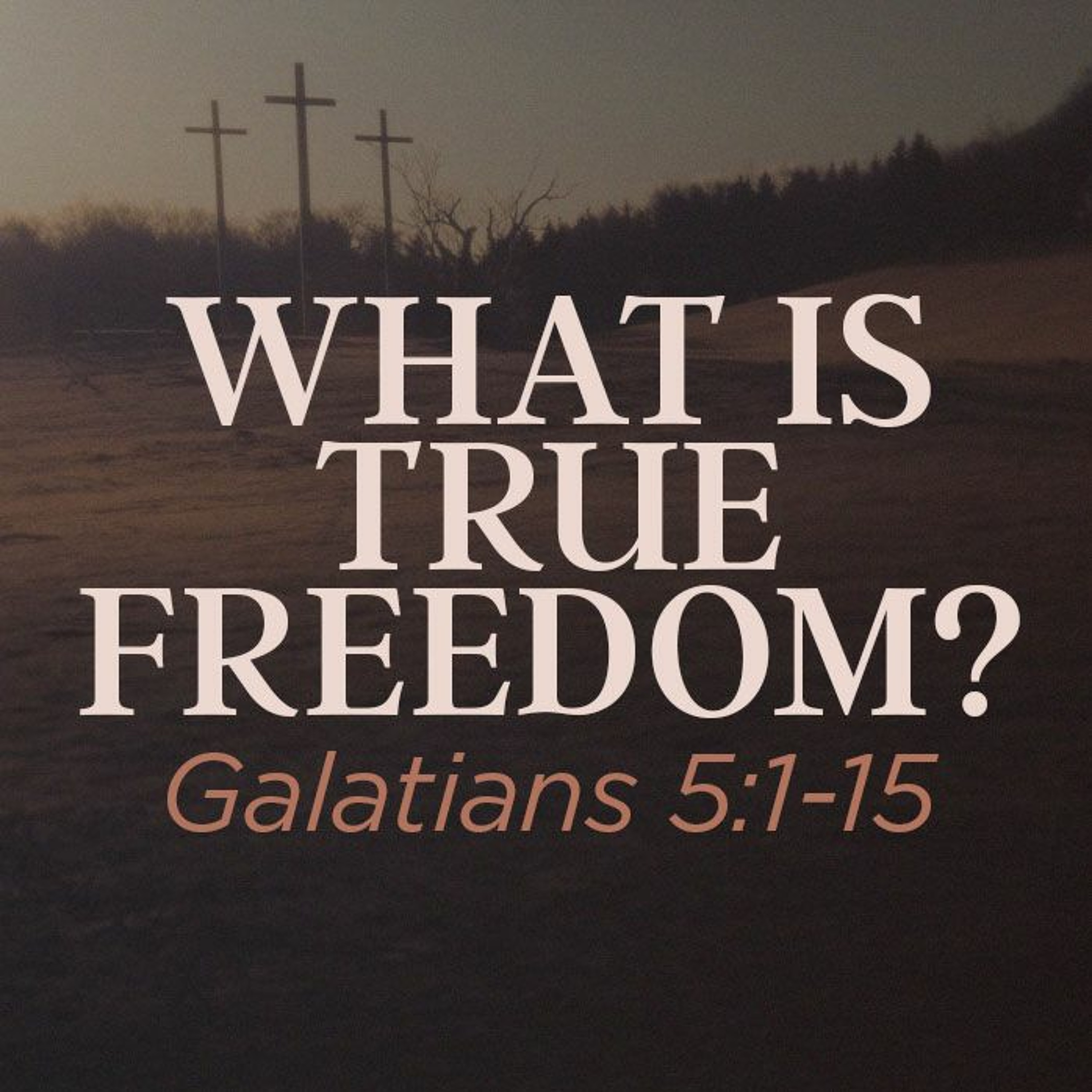 Sunday Sermons