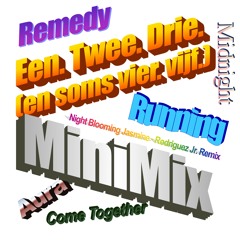 Een. Twee. Drie. (en soms vier. vijf.) MiniMix