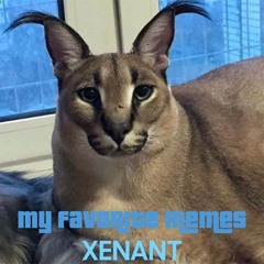 My favorite memes