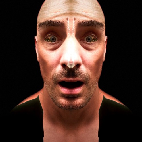 A rogue android who fights and tinkers