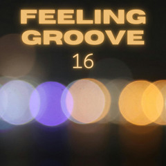 Funky House mix by Da Audio / Feeling Groove vol. 16