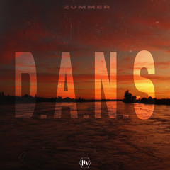 Zummer - D.A.N.S