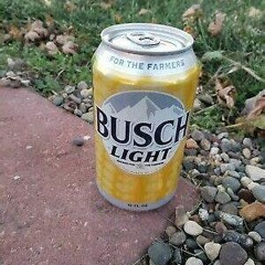 Busch Light