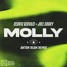 Cedric Gervais & Joel Corry - MOLLY (Anton Blam remix)