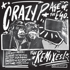 Crazy P and Medlar featuring Dele Sosimi - The Witness (Medlar Remix)