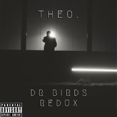 DR BIRDS REDUX