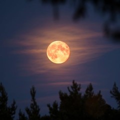 Week 05 - Used To Think It Was (220130)