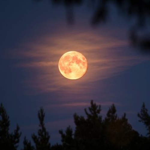 Week 05 - Used To Think It Was (220130)