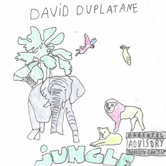 David Duplatane - Train De Vie