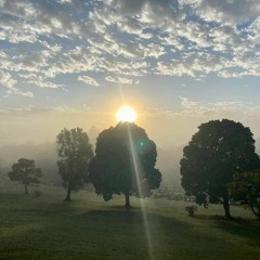 Dinkum Bohos - Harpers Bizarre feat Jolander Moyle - Serangi